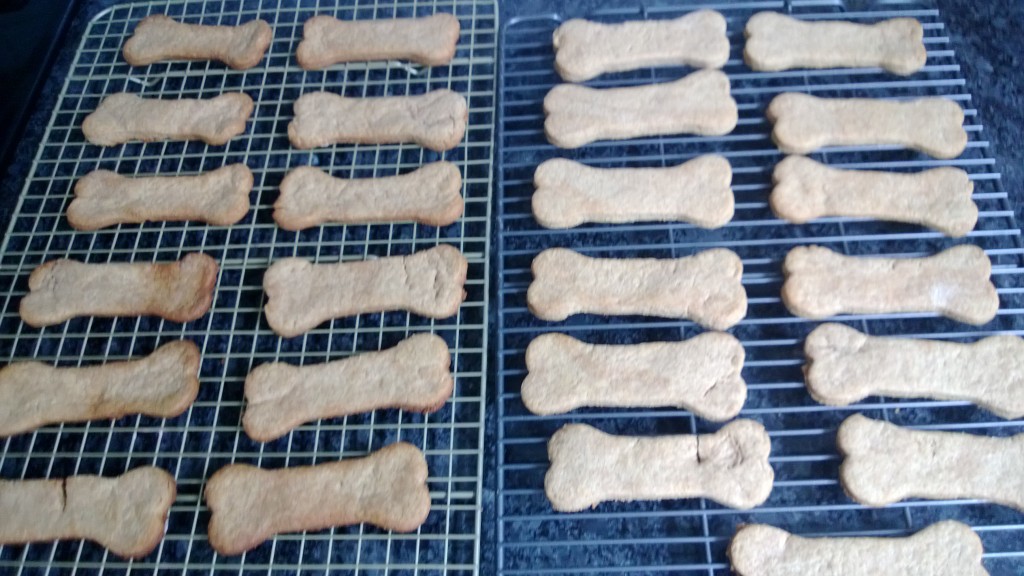I made dog treats for all of the dogs who came over to celebrate Emma's special day.
