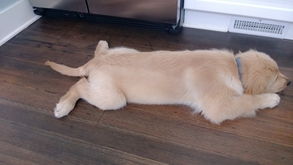 Taking it easy sprawled out on the kitchen floor.