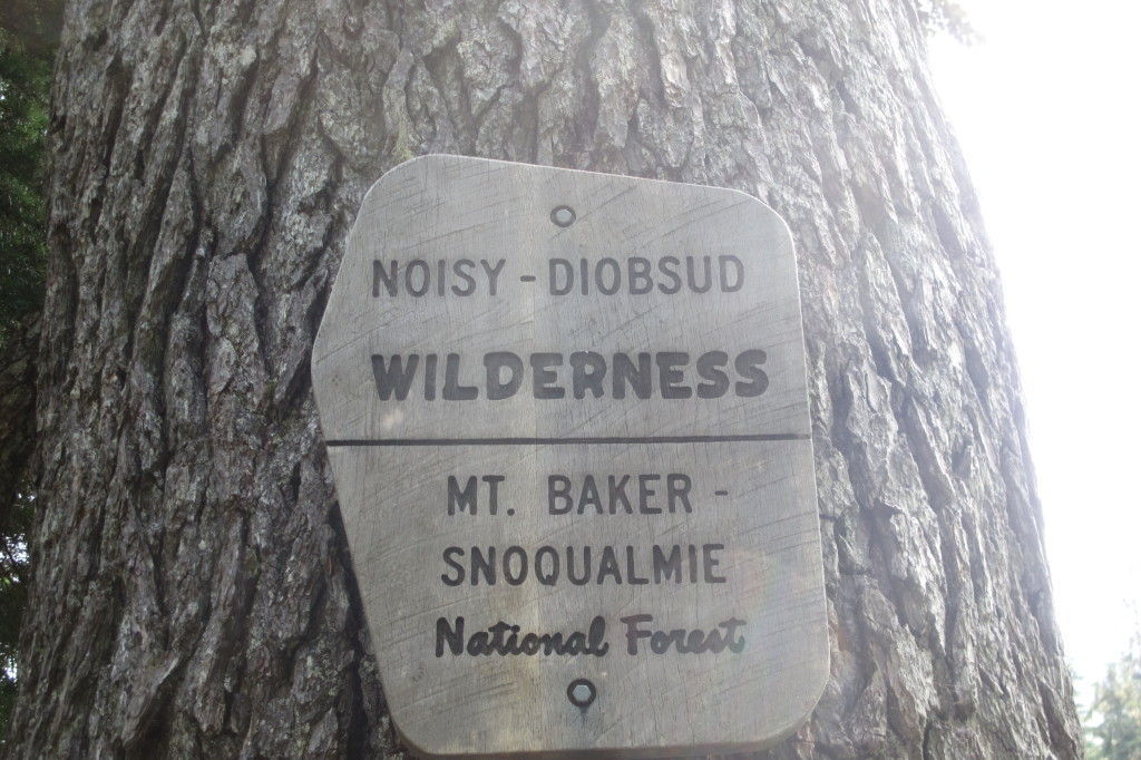Mt. Baker Wilderness
