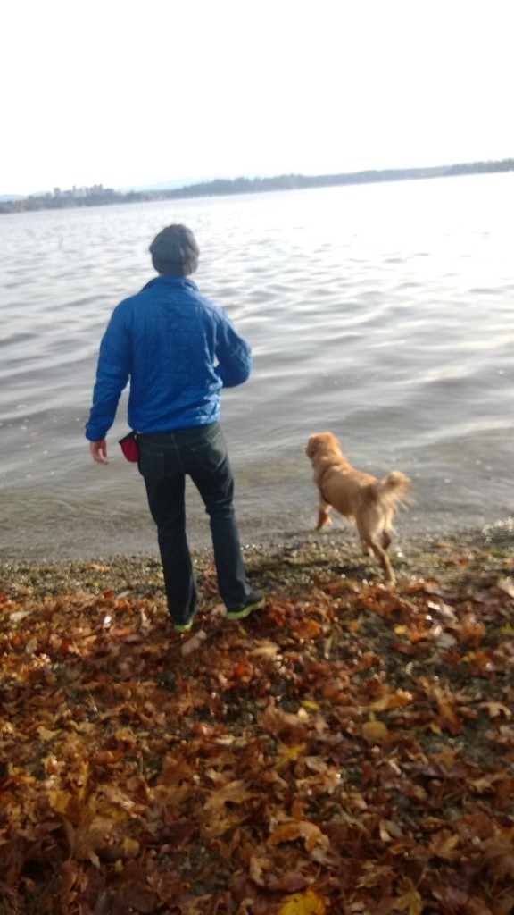 We took Jackson for a great walk and swim in Lake Washington on Saturday morning, followed by a delicious breakfast of bacon, egg and cheese biscuits at home.