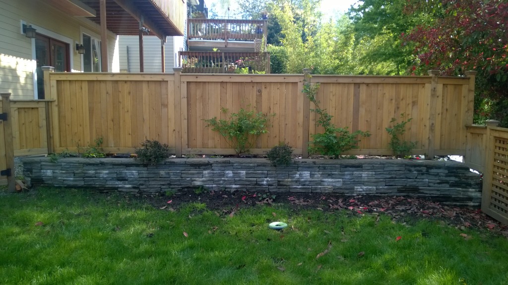 This is the area my mom helped me plant last spring. I thought most of it died but all of it except the fuschia came back this year. I will replace the fuschia and get some plants that droop over the retaining wall hopefully soon. For now, I replenished our supply of catnip for Henry and his friends.
