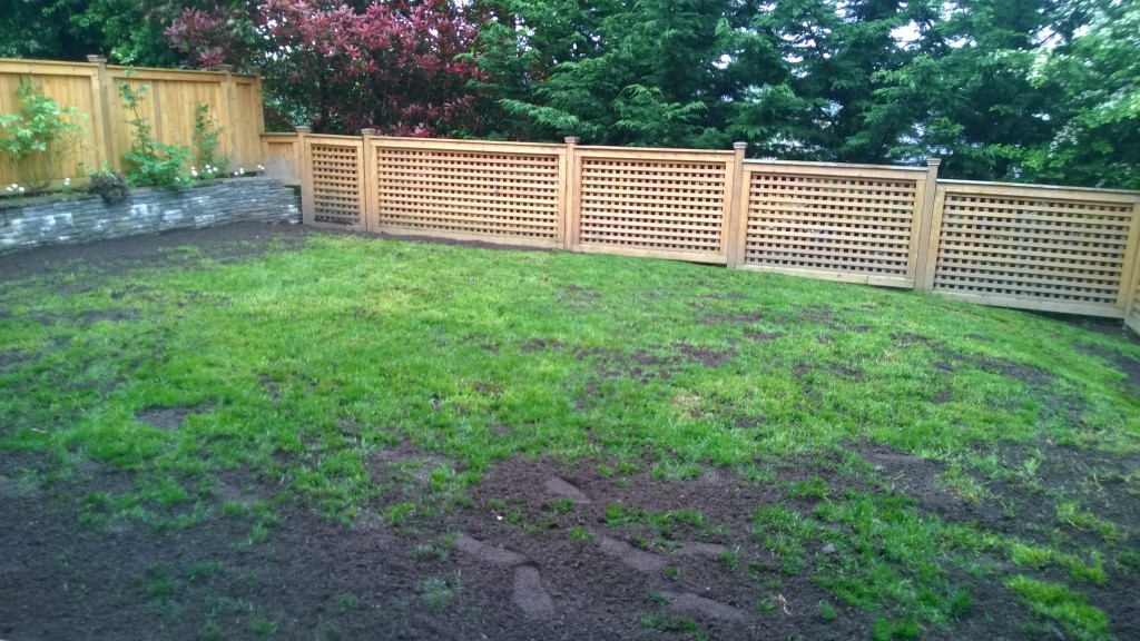 Here is what our backyard looks like right now... I am hoping we get a good combo of sun and rain over the next few weeks to jumpstart the grass seed.
