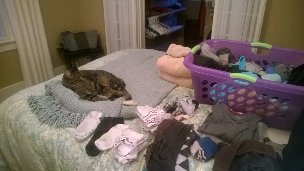 {Between Henry and Jackson, every time I do laundry or make the bed I can count on one of them to show up and keep me company.}