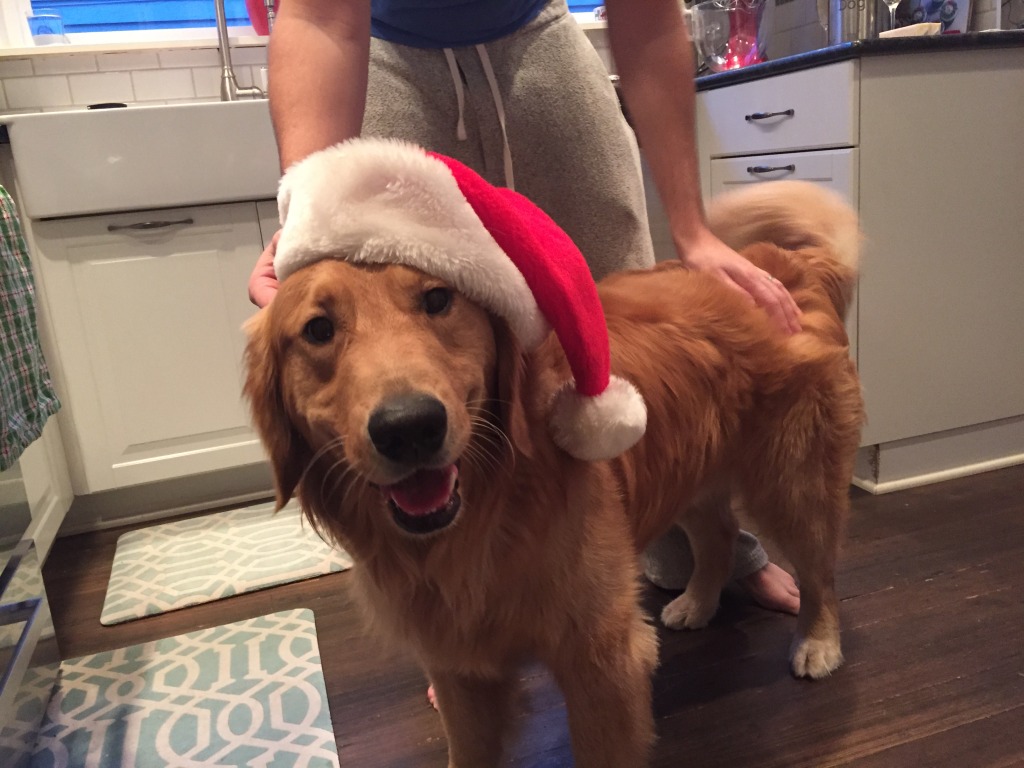 {Jackson is pretty good at spreading holiday cheer!}