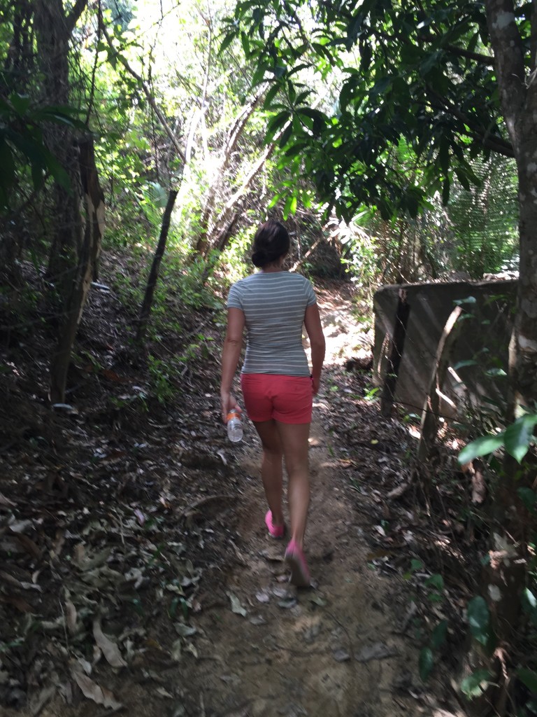 {taking a walk through the jungle... watch out for scorpions!}