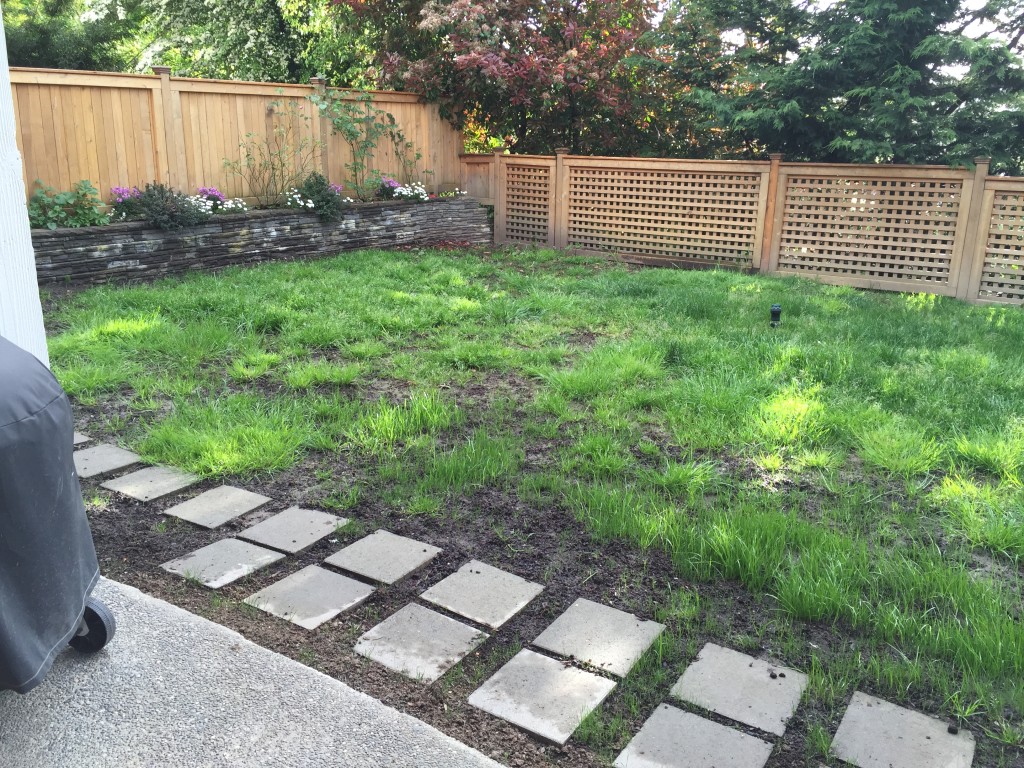 {Yesterday... it certainly looks better but the grass seed just isn't coming in as thick as it needs to and it's been four weeks. Also, the entire right half of the yard is 100% crabgrass.} 