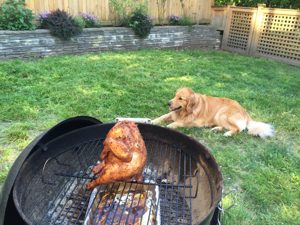 {a mid-week treat from last week was beer can chicken}