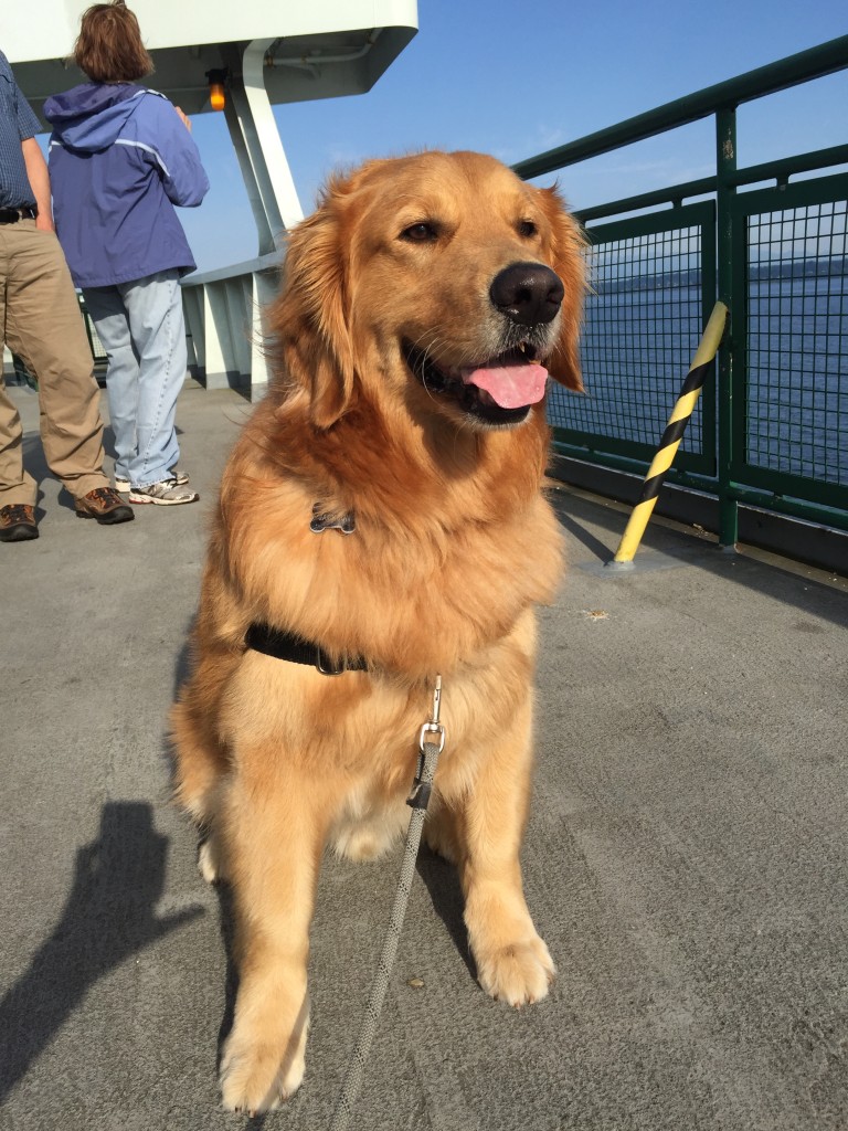 {Jackson came with us for the trip and experienced his first ferry ride}