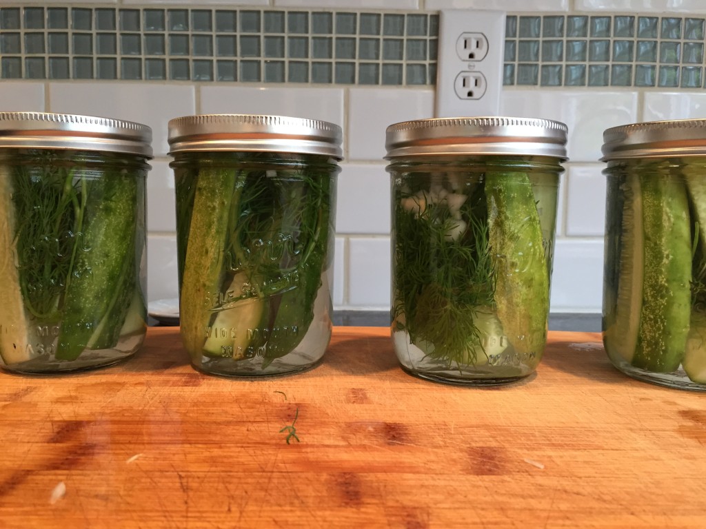 {homemade pickles!}